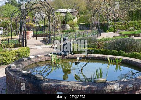 RHS Rosemoor Gardens, North Devon al sole di primavera Foto Stock