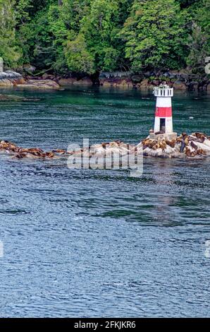 Faro e leoni marini sull'isola di Quemada nel canale di Beagle, vicino a Ushuaia, Tierra del Fuego, Patagonia, Argentina, America del Sud Foto Stock