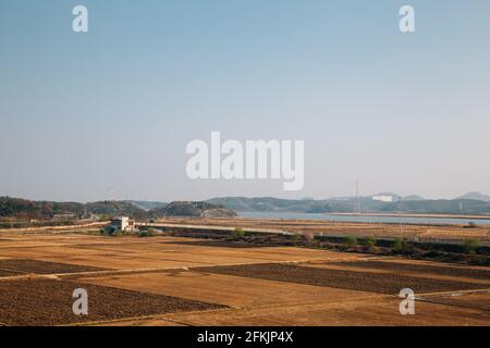 Campo di risaie rurale da Imjingak Pyeonghoa-Nuri parco a Paju, Corea Foto Stock