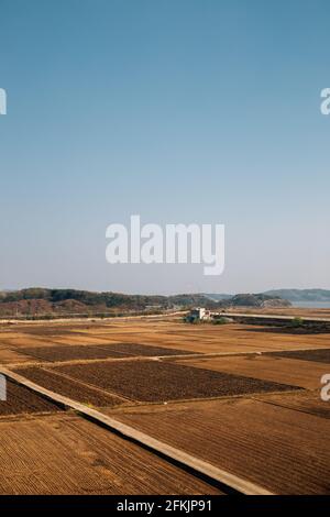 Campo di risaie rurale da Imjingak Pyeonghoa-Nuri parco a Paju, Corea Foto Stock