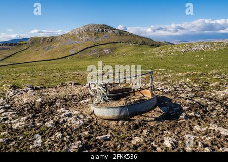 La cima di Smearsett Scar è situata a est di un miglio di cresta calcarea che include anche Pot Scar. Anche se non vi è alcun percorso contrassegnato Foto Stock