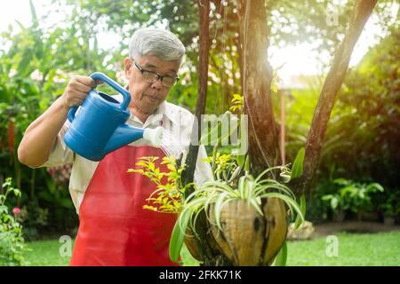 Un anziano asiatico felice e sorridente sta innaffiare piante e fiori per un hobby dopo il pensionamento in una casa. Concetto di uno stile di vita felice e buono Foto Stock
