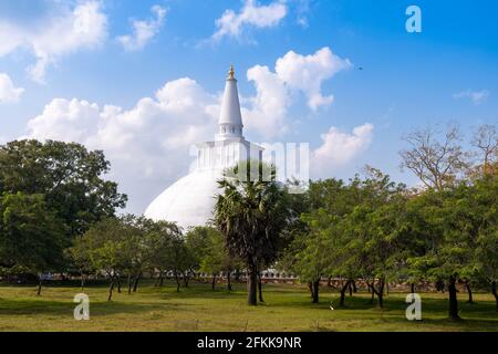 Sri Lanka incredibile isola con una grande cultura Foto Stock