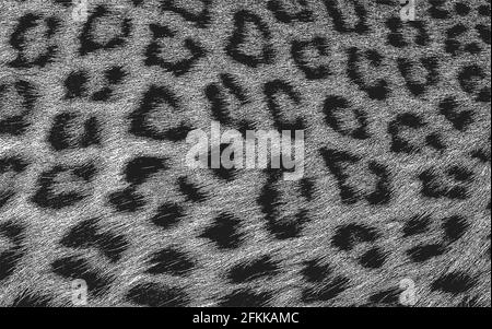 Trama overlay in difficoltà di pelliccia leopardo naturale, sfondo vettoriale grunge. Illustrazione vettoriale astratta a mezzitoni Illustrazione Vettoriale