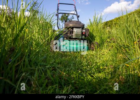 L'immagine mostra un rasaerba sul prato in un giardino a Sint-Maria-Lierde, domenica 02 maggio 2021. Il 'maai Mei niet - en mai, tinte a l Foto Stock