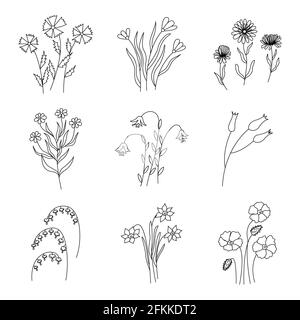 Set di prati selvatici e fiori da giardino. Illustrazione in bianco e nero dello stile del doodle isolato vettoriale Illustrazione Vettoriale