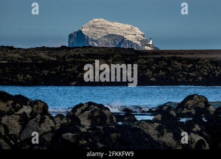 Edimburgo, Midlothian, Regno Unito. 2/5/2021 Yellowcraig Beach, East Lothian, Scozia Foto Stock