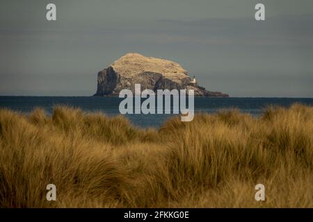 Edimburgo, Midlothian, Regno Unito. 2/5/2021 Yellowcraig Beach, East Lothian, Scozia Foto Stock