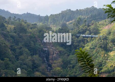 Ella Sri Lanka campi da tè, Little Adams picco, treno nove archi ponte Foto Stock