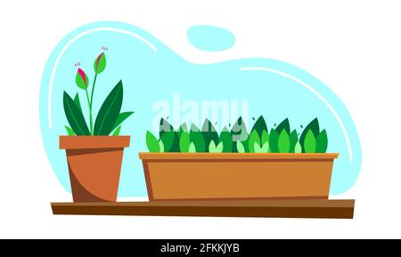 Piante interne e fiori in pentole. Gemme in fiore, foglie nuove. Pianta giovane, pianta. Immagine vettoriale piatta moderna. Illustrazione Vettoriale