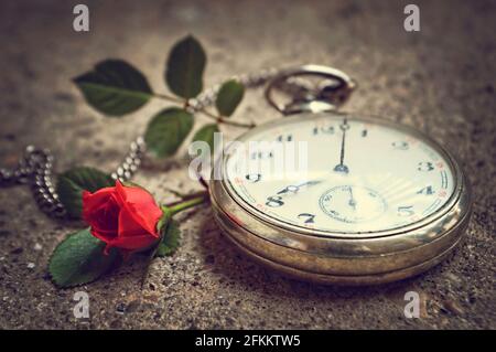 Regalo del giorno dei padri. Orologio da tasca vintage e rosa rossa Foto Stock