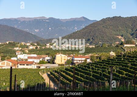 Pittoresche colline di vigneti del Prosecco spumante regione in Valdobbiadene, Italia. Foto Stock