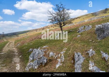 Il Dales Way è un sentiero di 80 chilometri nel nord dell'Inghilterra, da Ilkley, West Yorkshire, a Bowness-on-Windermere, Cumbria. Foto Stock