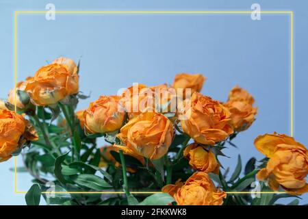 fiori di rosa arancio sfondo bouquet con brillante cornice dorata, spazio vuoto per il testo, modello biglietto d'auguri Foto Stock