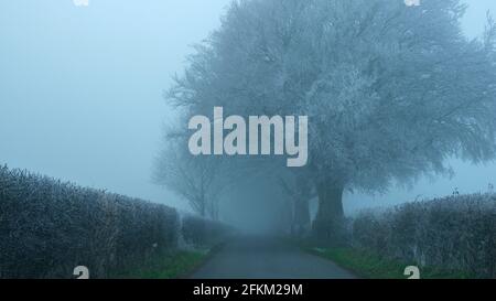 Cheriton, Regno Unito - 1 gennaio 2021: Brina e gelo di gelo il giorno di Capodanno 2021 vicino a Old Winchester Hill sopra la valle di Meon nel South Downs Foto Stock