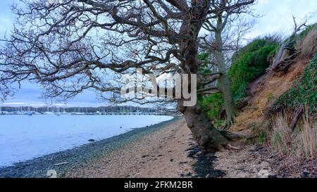 Warsash, - gennaio 16, 2021: Il litorale del fiume Hamble a Warsash, Hampshire, Regno Unito Foto Stock