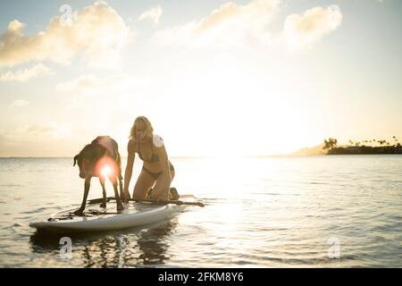 Donna e cane sul paddleboard sulla spiaggia delle Hawaii Foto Stock