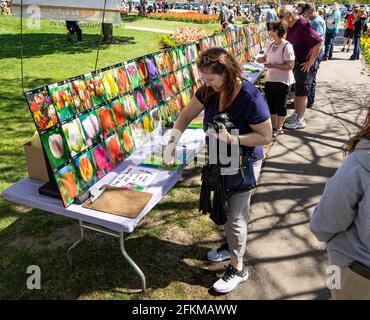 Olanda, Stati Uniti. 2 maggio 2021. La gente partecipa al 2021 Tulip Time Festival in Olanda, Michigan, Stati Uniti, il 2 maggio 2021. Credit: Joel Lerner/Xinhua/Alamy Live News Foto Stock