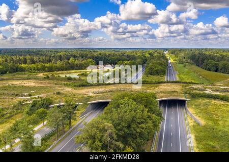 Veduta aerea dell'incrocio faunistico di Ecodotto al Parco Nazionale di Dwingelderveld, Beilen, Drenthe, Paesi Bassi Foto Stock