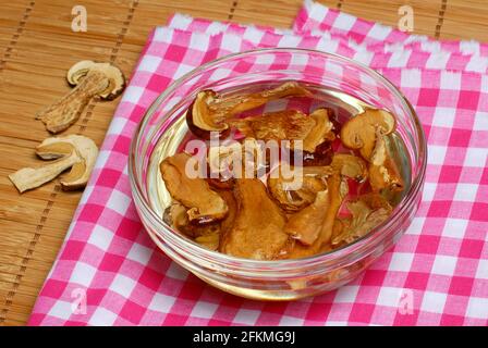 Funghi porcini, secchi, imbevuti d'acqua, boleti, Boletus edulis Foto Stock