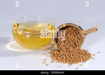 Tazza di tè di radice crocifera, radice crocifera siberiana (Polygalae Radix), Yuan Zhi, tè di radice crocifera Foto Stock