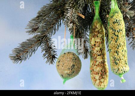 Sacchetti per l'alimentazione invernale, arachidi, gnocchi di titmouse, alimenti grassi Foto Stock