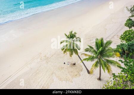 Vista aerea dall'alto bellissima spiaggia d'attualità con palme da cocco e mare di sabbia bianca. Vista dall'alto spiaggia vuota e pulita. Onde che si infrangono spiaggia vuota fr Foto Stock
