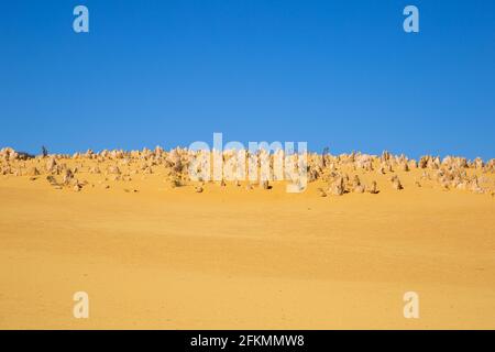 I Pinnacoli, Parco Nazionale di Nambung. Formazioni calcaree con cielo blu e terra gialla Foto Stock