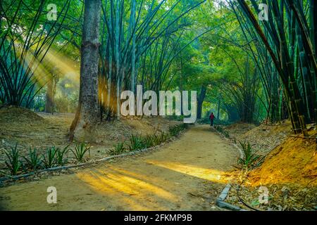 Lodi Gardens o Seven Sens è un parco cittadino situato a Nuova Delhi, India. Foto Stock