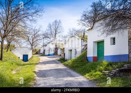 Vinne sklepy, Petrov - Plze u Straznice, Jizni Morava, Ceska republika / cantine, Plze in Petrov villaggio, Moravia del Sud, repubblica Ceca Foto Stock
