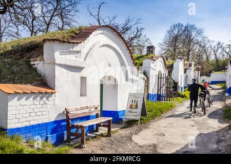 Vinne sklepy, Petrov - Plze u Straznice, Jizni Morava, Ceska republika / cantine, Plze in Petrov villaggio, Moravia del Sud, repubblica Ceca Foto Stock