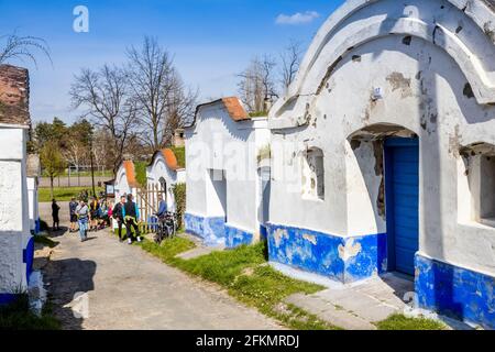Vinne sklepy, Petrov - Plze u Straznice, Jizni Morava, Ceska republika / cantine, Plze in Petrov villaggio, Moravia del Sud, repubblica Ceca Foto Stock