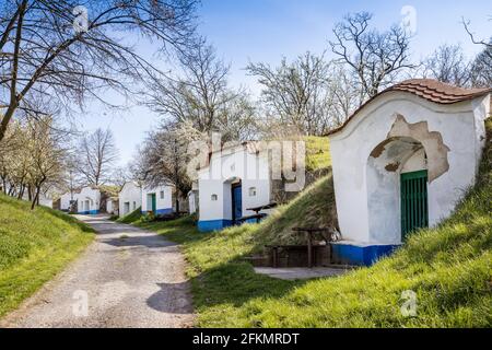 Vinne sklepy, Petrov - Plze u Straznice, Jizni Morava, Ceska republika / cantine, Plze in Petrov villaggio, Moravia del Sud, repubblica Ceca Foto Stock