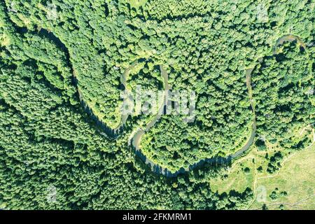 piccolo fiume tortuoso circondato da una foresta verde. vista aerea dall'alto durante il giorno d'estate. Foto Stock
