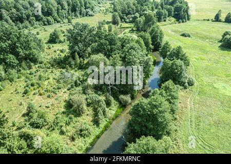 fiume tortuoso tra campo e foresta. Valle del fiume Isloch, Bielorussia. Foto aerea Foto Stock