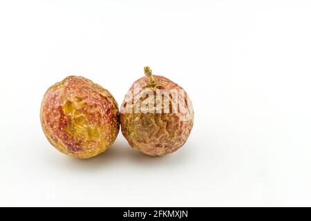 Primo piano marrone secco di Passionfruit (Passiflora edulis) su sfondo bianco Foto Stock