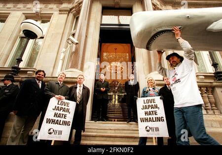 Una balena gommosa di sperma bambino è camminata oltre l'ambasciata giapponese nel centro di Londra in protesta alla notizia che una flotta giapponese whalling deve lasciare il porto il venerdì. Alla manifestazione hanno partecipato modelli e politizioni. Foto Stock