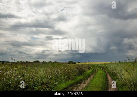 Nuvoloso paesaggio estivo con strada sterrata e campi durante la giornata delle piogge. Foto Stock