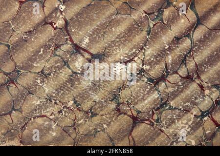 Vecchio sfondo di carta con sfondo marrone, verde e rosso di texture astratta del disegno Foto Stock