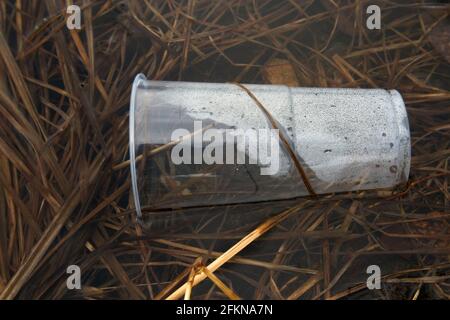 tazza in plastica trasparente in acqua Foto Stock