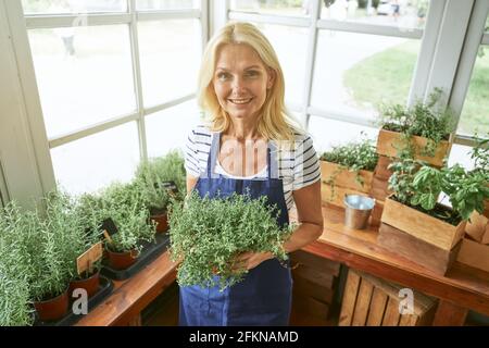 Donna di affari che tiene la pentola con erbe piccanti crescenti Foto Stock