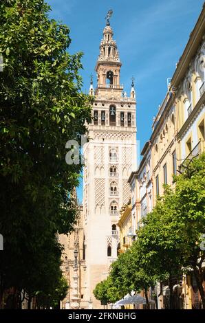 La Giralda è il campanile della Cattedrale di Siviglia in Spagna, una delle chiese più grandi del mondo Foto Stock