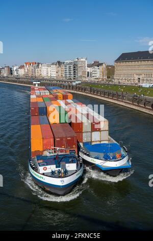 Nave da carico container, Millienium II, come accoppiamento, sul Reno, sulla riva della città vecchia, sul lungofiume, di Düsseldorf, NRW, Germania, Foto Stock