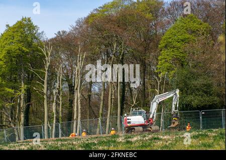 Aylesbury vale, Buckinghamshire, Regno Unito. 26 aprile 2021. Alberi delimitati da HS2 pronti per l'abbattimento. Il protettore della Terra Mark Keir ha recentemente intrapreso un'azione legale contro l'Inghilterra naturale in seguito alla concessione di una licenza alla HS2 Ltd per far cadere gli alberi nell'antico bosco di Jones Hill Wood. Conosciuto localmente come Roald Dahl Woods, l'autore per bambini Roald Dahl è stato ispirato a scrivere il fantastico MR Fox come volpi hanno le galline nel legno. Di conseguenza, l'abbattimento dell'albero si è fermato il 16 aprile, ma HS2 stanno facendo appello al giudizio. Il controverso e massiccio collegamento ferroviario ad alta velocità 2 di bilancio da Londra a Birmingham è di circa Foto Stock