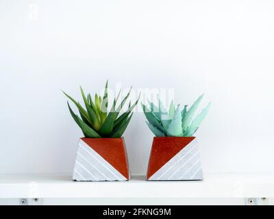 Vasi di cemento fai da te, a forma di piramide con piante succulente verdi su una mensola di legno bianco su sfondo bianco della parete con spazio per la copia. Due colori di rame esclusivi Foto Stock