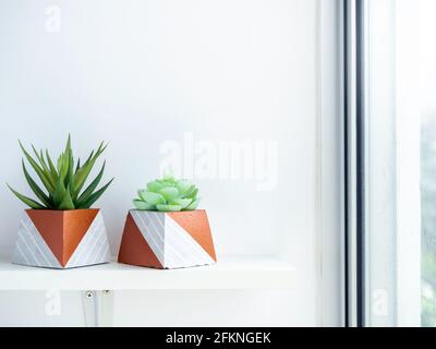 Vasi di cemento fai da te, a forma di piramide con piante succulente verdi su scaffale di legno bianco su sfondo bianco della parete vicino alla finestra di vetro con spazio copia. Due uni Foto Stock