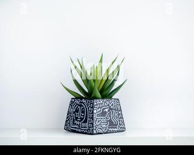 Vaso in cemento nero fai da te, a forma di piramide con disegno d'arte con pianta succulente verde su una mensola in legno bianco su sfondo bianco parete con spazio copia. Un Foto Stock