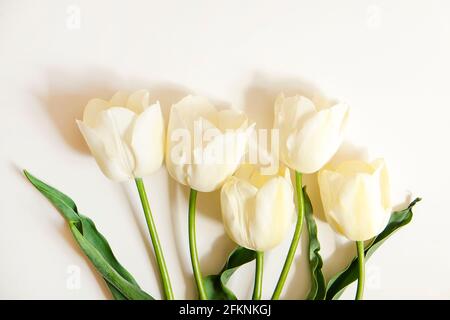 Composizione floreale femminile con mazzo di tulipani bianchi 'imperatore esotico' su sfondo bianco. Bel bouquet per la giornata della madre che si stende sul tavolo. Donne Foto Stock