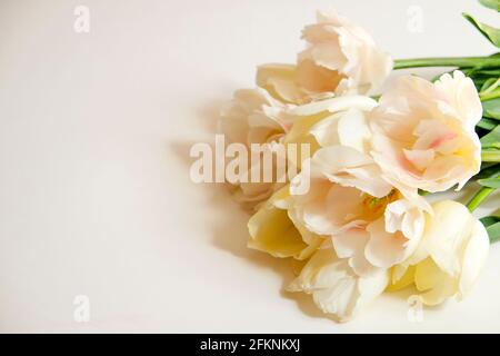 Composizione floreale femminile con mazzo di tulipani bianchi 'imperatore esotico' su sfondo bianco. Bel bouquet per la giornata della madre che si stende sul tavolo. Donne Foto Stock