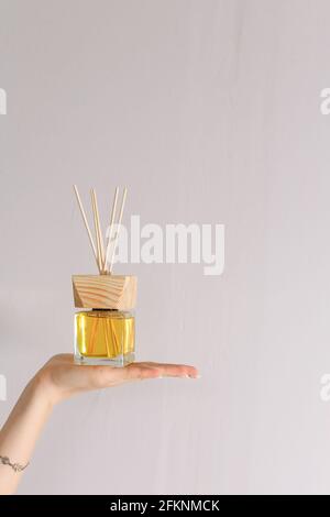 Deodorante per l'aria con diffusore a canna aromatherapy su rilassante sfondo spa Foto Stock